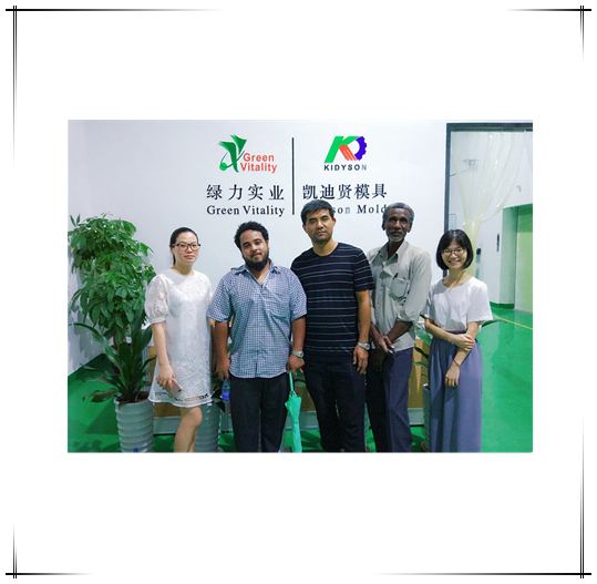 Mold Solutions Going On with Saudi Arabia Partner