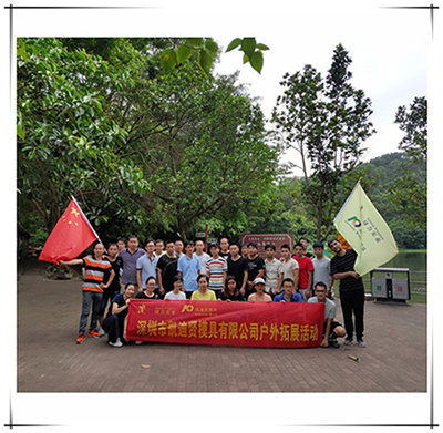 mouldworldservice Mould Team Building Activity